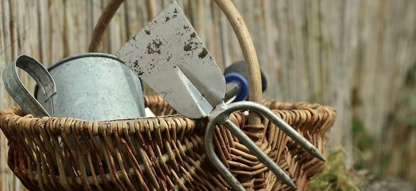 Gardening tools for beginners